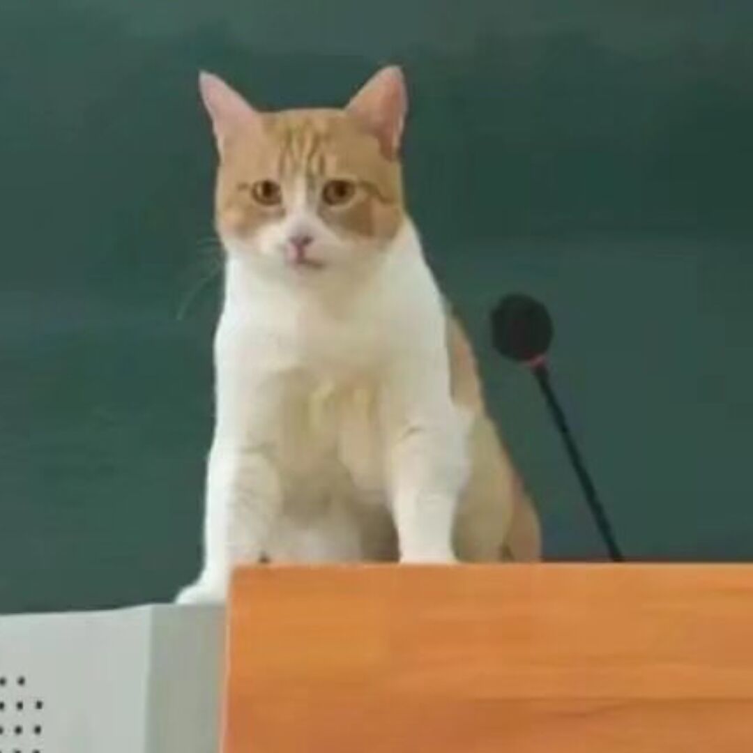 苏鹤头像